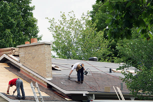 Best Roof Gutter Cleaning  in Bangor, PA